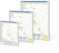 Report Maps Example