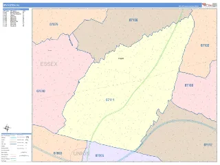 Irvington, NJ ColorCast style ZIP Code wall map