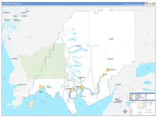 Dillingham County, AK Business Reference style ZIP Code wall map