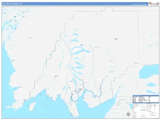 Dillingham County, AK ColorCast style ZIP Code wall map
