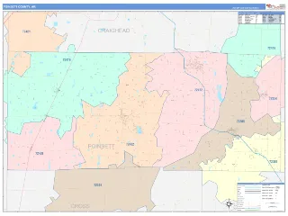 Poinsett County, AR ColorCast style ZIP Code wall map