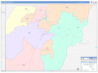 Montezuma County, CO ColorCast style ZIP Code wall map