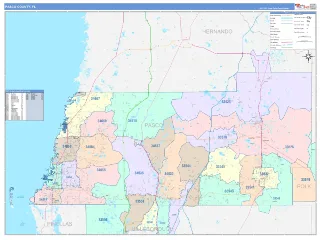 Pasco County, FL ColorCast style ZIP Code wall map