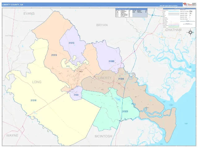 Liberty County, GA ZIP Code Wall Map, ColorCast style