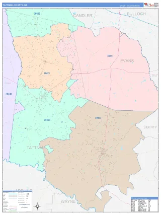 Tattnall County, GA ColorCast style ZIP Code wall map