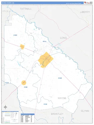 Wayne County, GA Business Reference style ZIP Code wall map