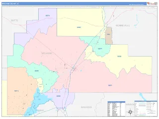 Bingham County, ID ColorCast style ZIP Code wall map