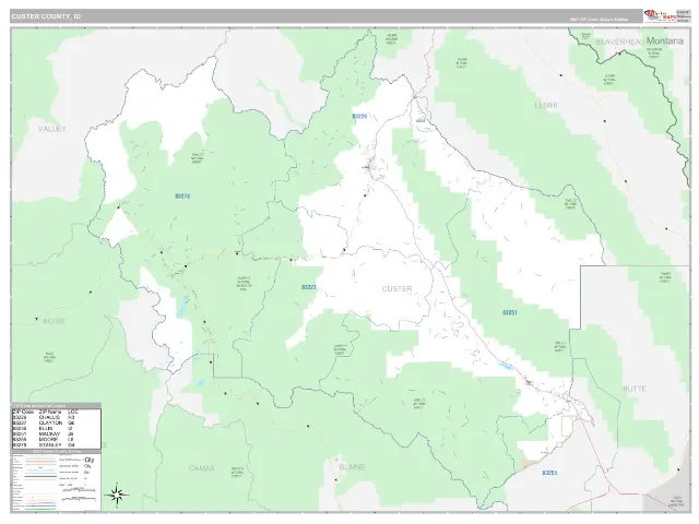 Custer County, ID ZIP Code Wall Map, Classic style