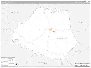 Robertson County, KY Classic style ZIP Code wall map