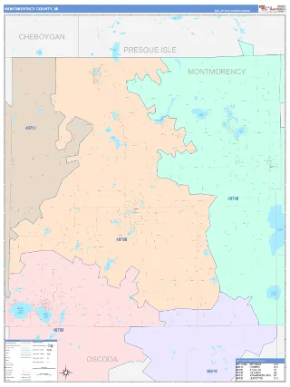 Montmorency County, MI ColorCast style ZIP Code wall map