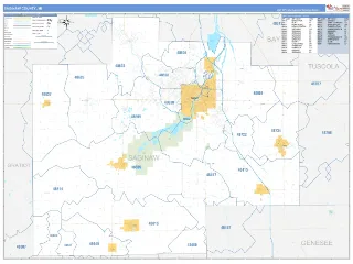 Saginaw County, MI Business Reference style ZIP Code wall map