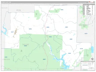 Wayne County, MO Classic style ZIP Code wall map