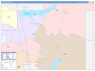 Yalobusha County, MS ColorCast style ZIP Code wall map