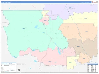 Teton County, MT ColorCast style ZIP Code wall map