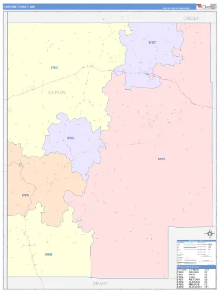 Catron County, NM ColorCast style ZIP Code wall map