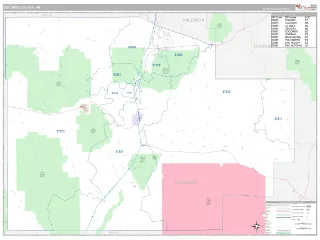 Socorro County, NM Classic style ZIP Code wall map