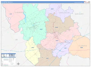 Darlington County, SC ColorCast style ZIP Code wall map