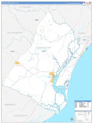 Georgetown County, SC Business Reference style ZIP Code wall map