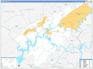 Roane County, TN Business Reference style ZIP Code wall map
