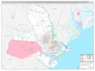 Savannah Metro Area Classic style ZIP Code wall map