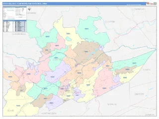 State College Metro Area ColorCast style ZIP Code wall map